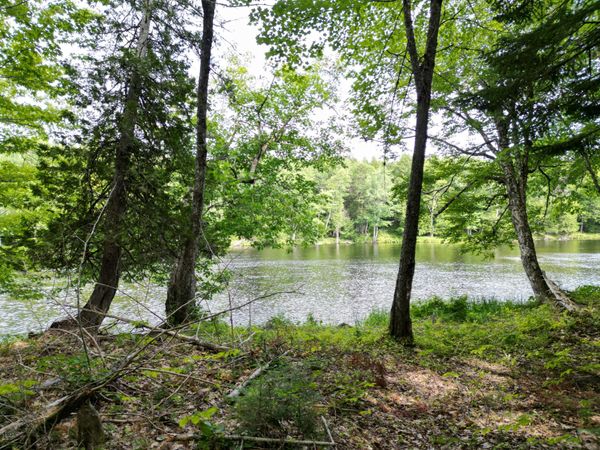 Lot 3 Off Mattamiscontis Road , Howland, ME 04448
