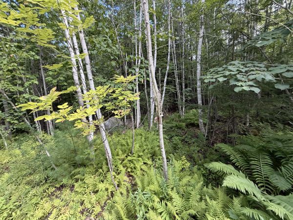 TBD Stoneybrook Drive , Unit Lot 2, Oakland, ME 04963