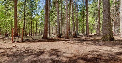 13429 Red Dog Rd, Nevada City, CA 95959 Photo