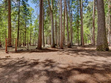13429 Red Dog Rd, Nevada City, CA 95959 Photo