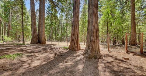 13429 Red Dog Rd, Nevada City, CA 95959 Photo