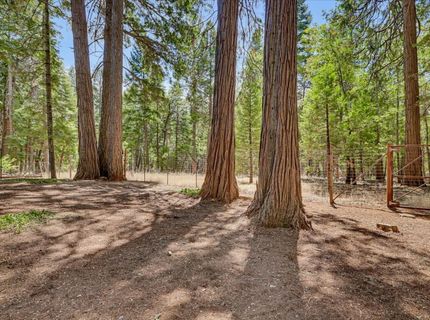13429 Red Dog Rd, Nevada City, CA 95959 Photo