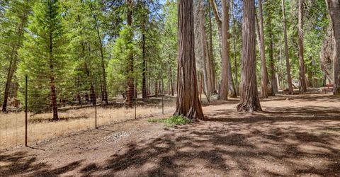 13429 Red Dog Rd, Nevada City, CA 95959 Photo