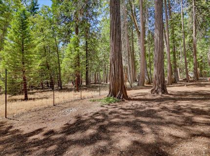 13429 Red Dog Rd, Nevada City, CA 95959 Photo
