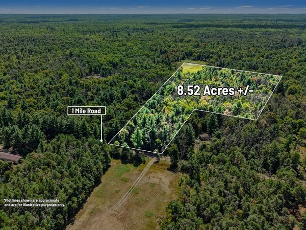 00000 1 Mile Road, Morley, MI 49336