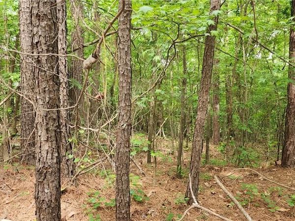 0000 Rabbit Farm Road , Loganville, GA 30052