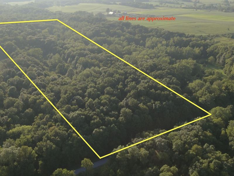 6575 Township Road 137, Rushsylvania, OH 43347 Photo 1