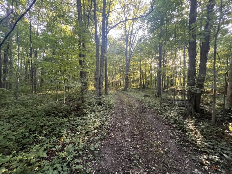 6575 Township Road 137, Rushsylvania, OH 43347 Photo 12