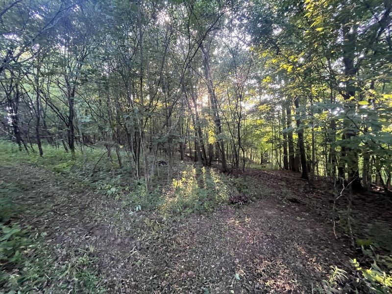 6575 Township Road 137, Rushsylvania, OH 43347 Photo 14
