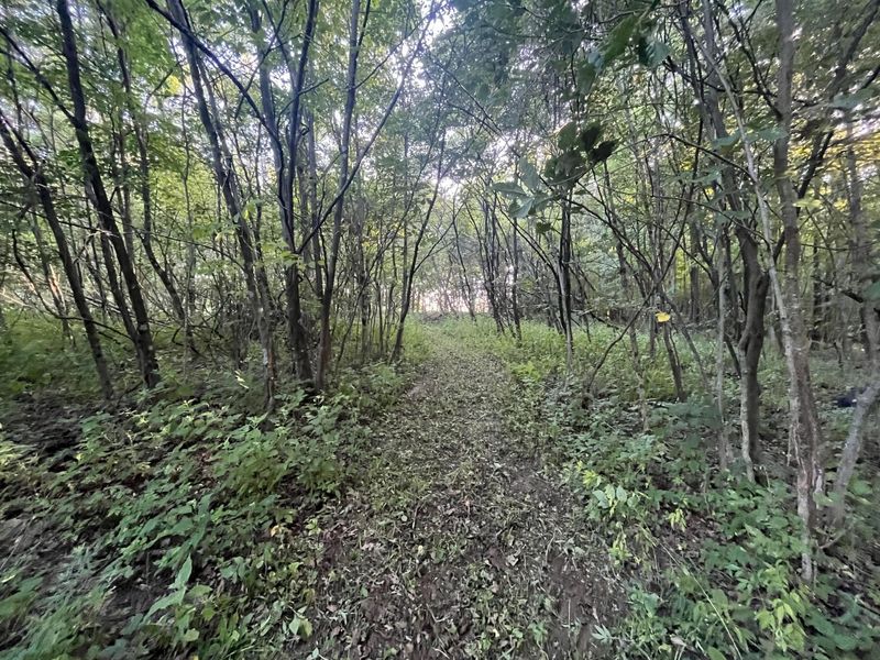6575 Township Road 137, Rushsylvania, OH 43347 Photo 15