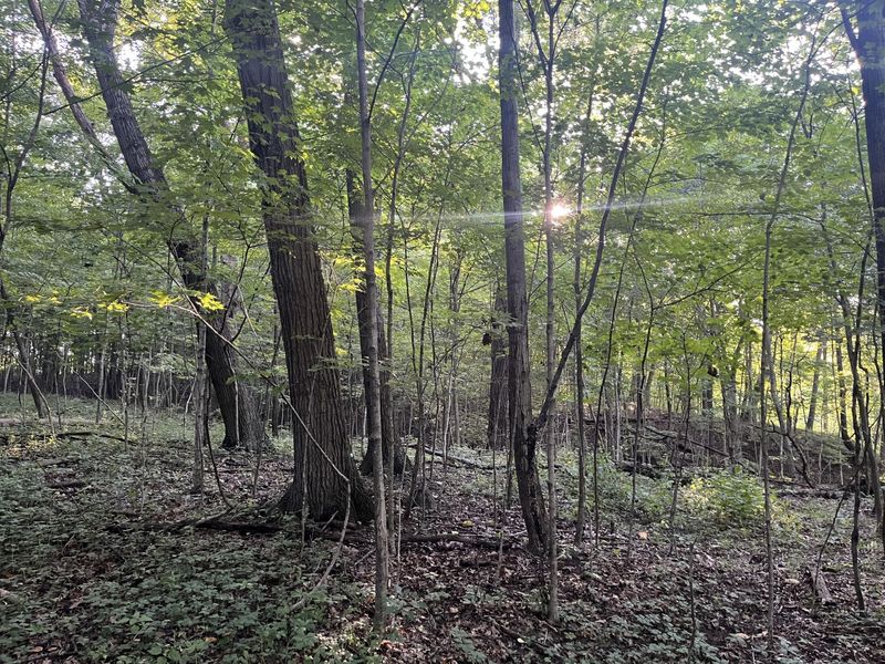 6575 Township Road 137, Rushsylvania, OH 43347 Photo 17