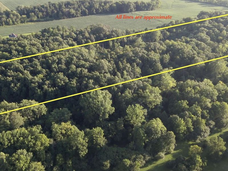 6575 Township Road 137, Rushsylvania, OH 43347 Photo 2