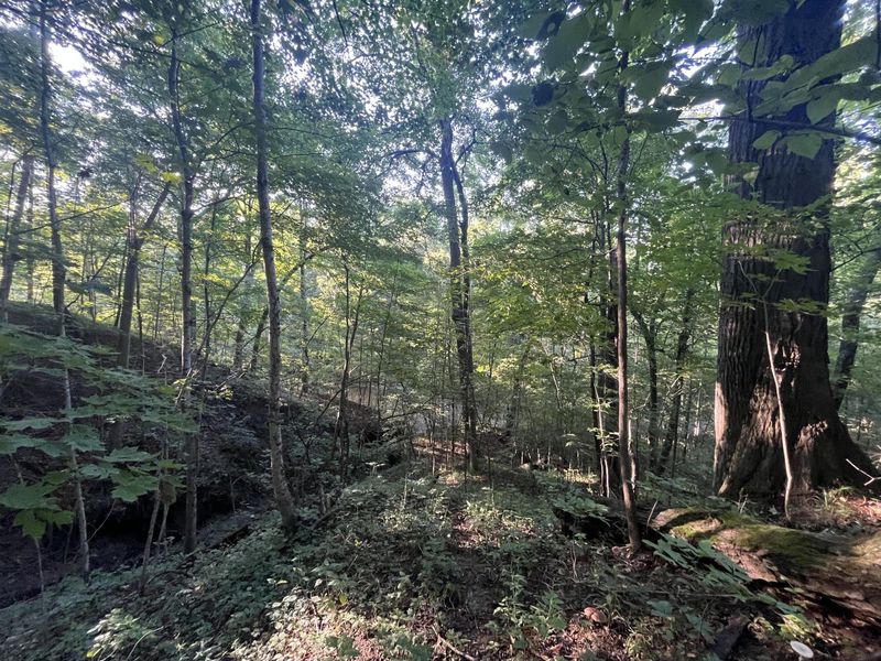 6575 Township Road 137, Rushsylvania, OH 43347 Photo 22