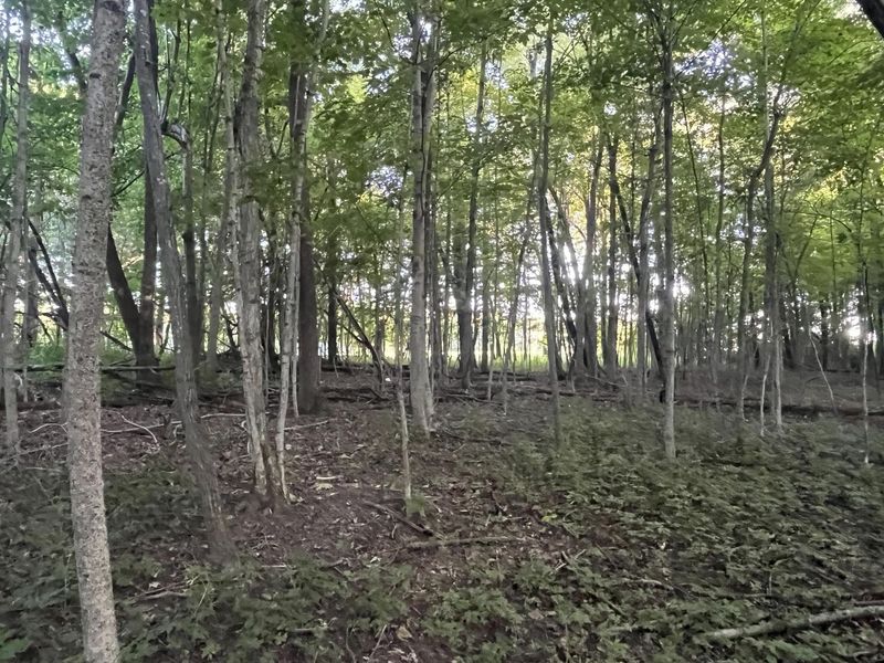 6575 Township Road 137, Rushsylvania, OH 43347 Photo 26