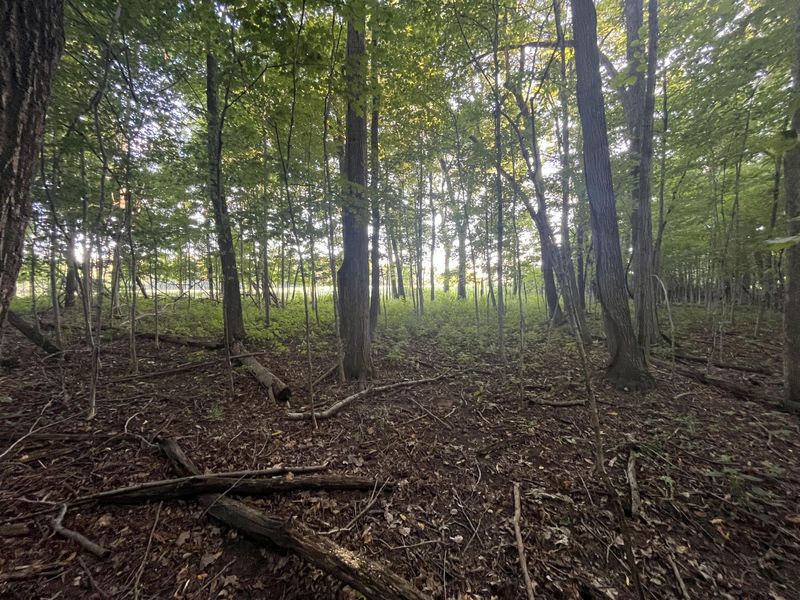 6575 Township Road 137, Rushsylvania, OH 43347 Photo 29