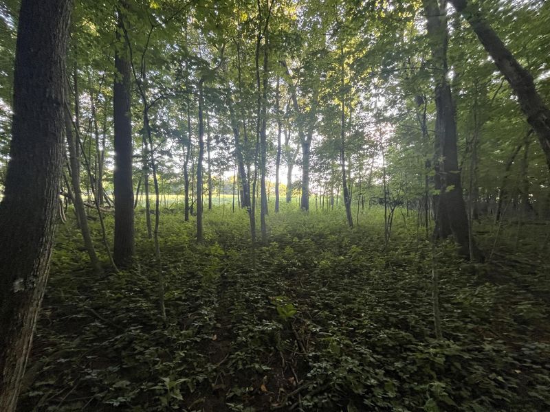 6575 Township Road 137, Rushsylvania, OH 43347 Photo 30
