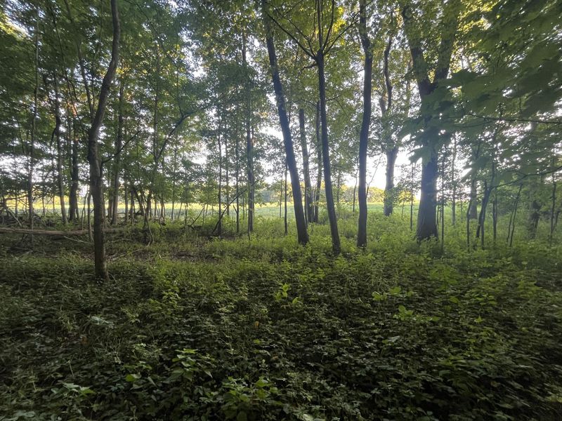 6575 Township Road 137, Rushsylvania, OH 43347 Photo 31