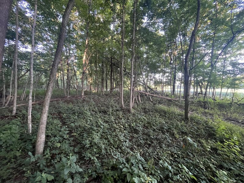 6575 Township Road 137, Rushsylvania, OH 43347 Photo 32