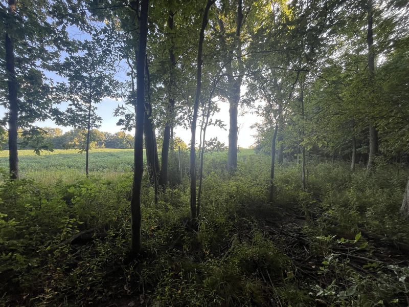 6575 Township Road 137, Rushsylvania, OH 43347 Photo 34