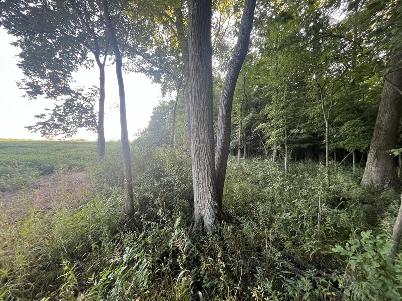6575 Township Road 137, Rushsylvania, OH 43347 Photo 36