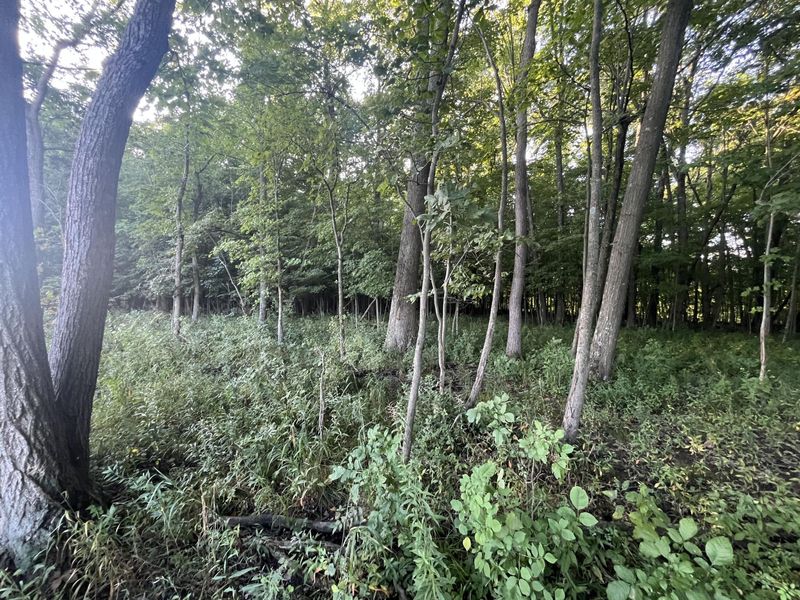 6575 Township Road 137, Rushsylvania, OH 43347 Photo 37
