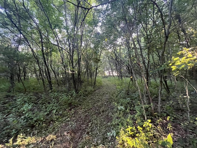 6575 Township Road 137, Rushsylvania, OH 43347 Photo 42