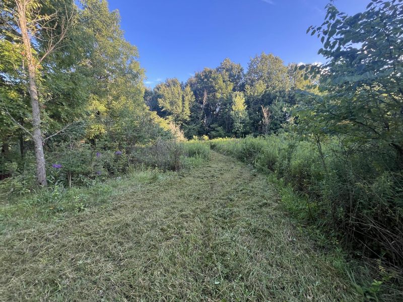 6575 Township Road 137, Rushsylvania, OH 43347 Photo 47