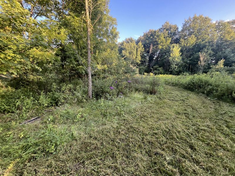 6575 Township Road 137, Rushsylvania, OH 43347 Photo 48
