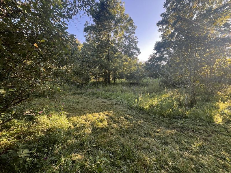6575 Township Road 137, Rushsylvania, OH 43347 Photo 49
