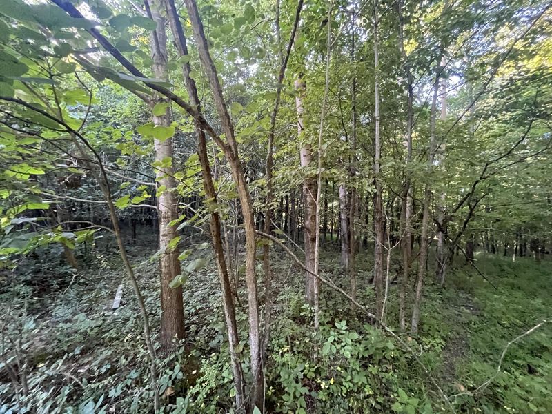 6575 Township Road 137, Rushsylvania, OH 43347 Photo 50