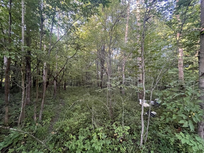 6575 Township Road 137, Rushsylvania, OH 43347 Photo 51