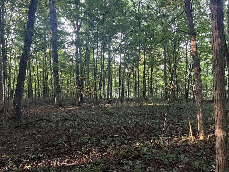 6575 Township Road 137, Rushsylvania, OH 43347 Photo 60