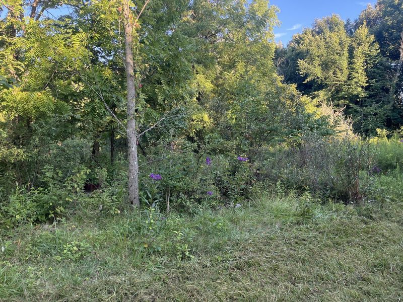 6575 Township Road 137, Rushsylvania, OH 43347 Photo 64