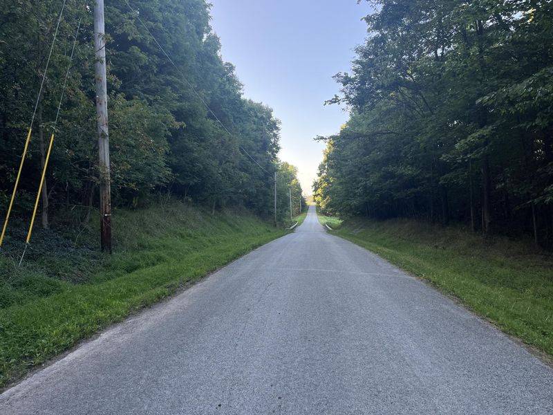 6575 Township Road 137, Rushsylvania, OH 43347 Photo 9