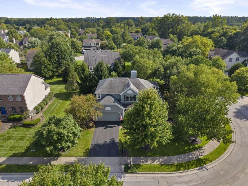 238 Donerail Avenue, Powell, OH 43065 Photo 57