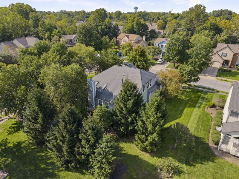 238 Donerail Avenue, Powell, OH 43065 Photo 59