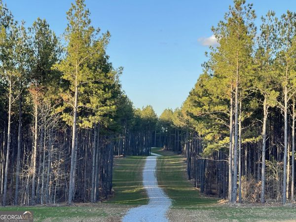92 Lillian Strong Road, Carlton, GA 30627