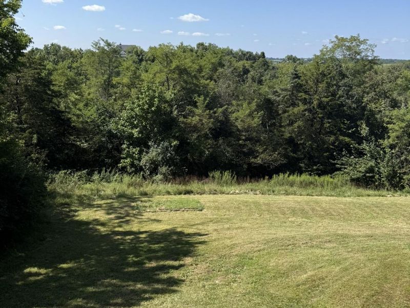 15538 Gardnersville Road, Demossville, KY 41033 Photo 38