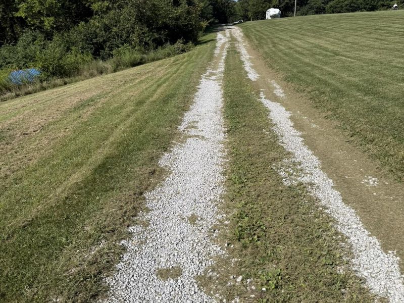 15538 Gardnersville Road, Demossville, KY 41033 Photo 44