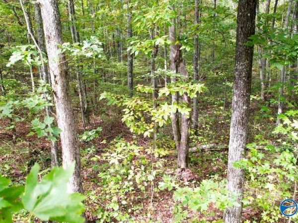 4.16 Acres N Stewart Lane, Rising Fawn, GA 30738