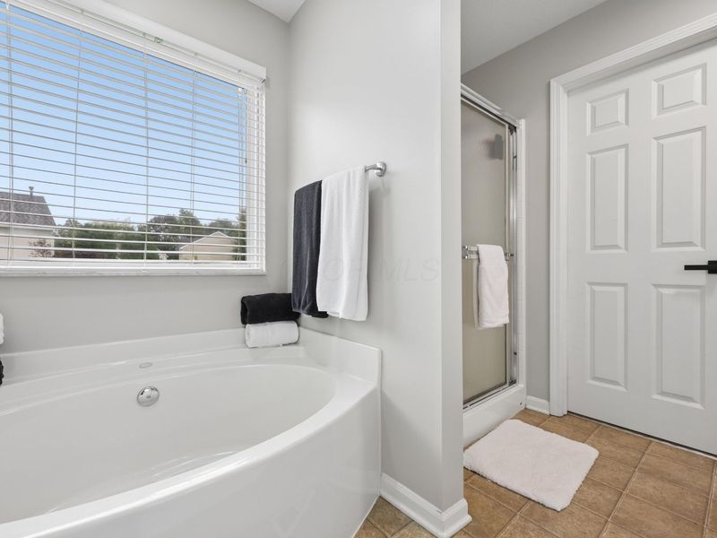 78 Weeping Willow Run Drive, Johnstown, OH 43031 Photo 39