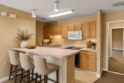 218 Double Eagle Dr. photo 4