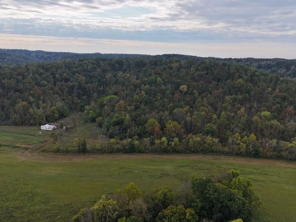 11517 Mt Carmel Rd, Decaturville, TN 38329