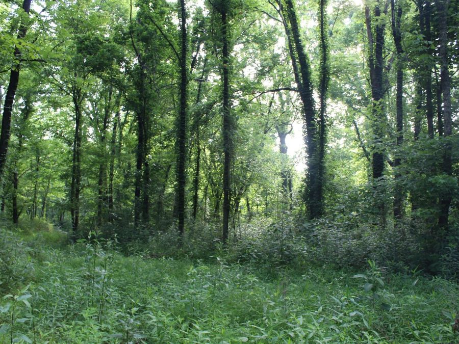 Property Image 27