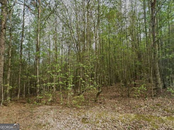 0 Mitchell Road, Maysville, GA 30558