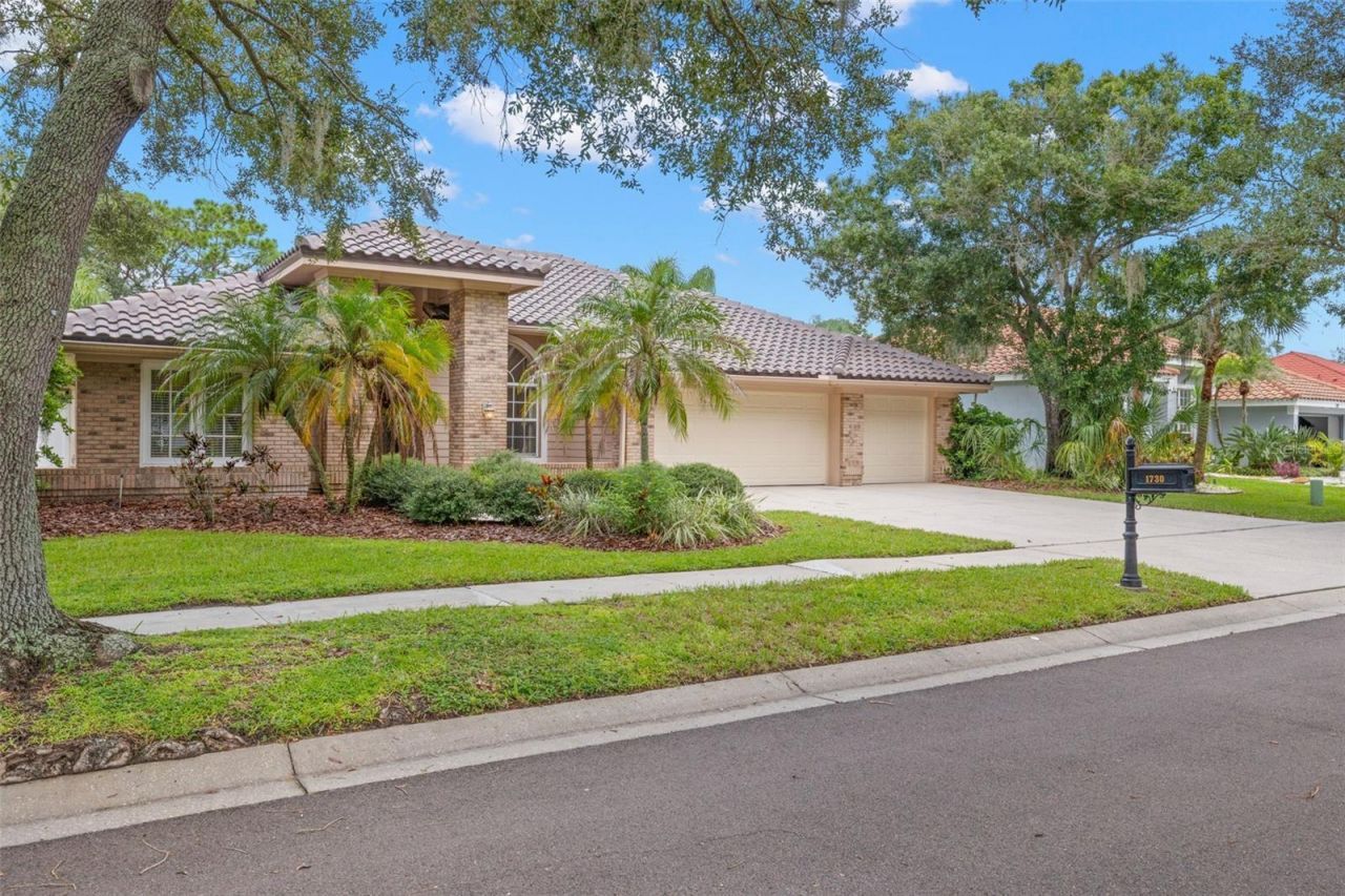 1730 Captiva Drive , Oldsmar, FL 34677 Photo