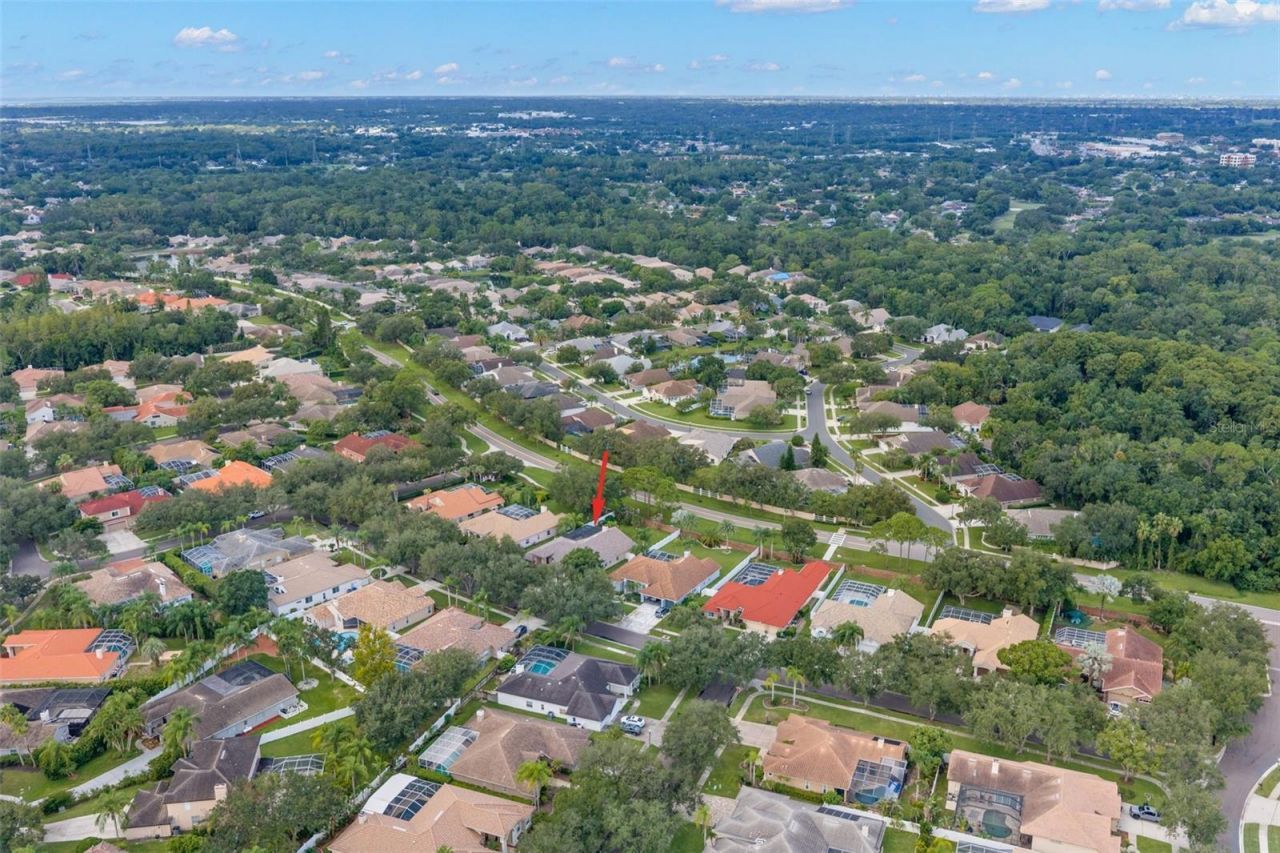1730 Captiva Drive , Oldsmar, FL 34677 Photo