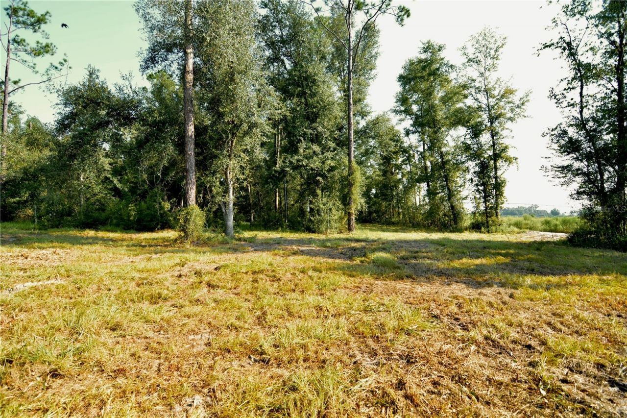 00 SW 39th Ave , Jasper, FL 32052 Photo