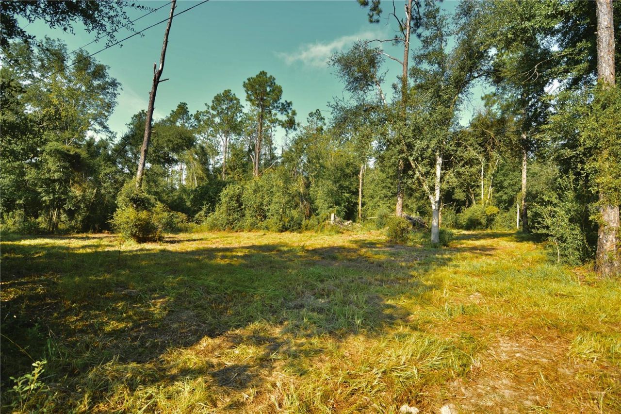 00 SW 39th Ave , Jasper, FL 32052 Photo