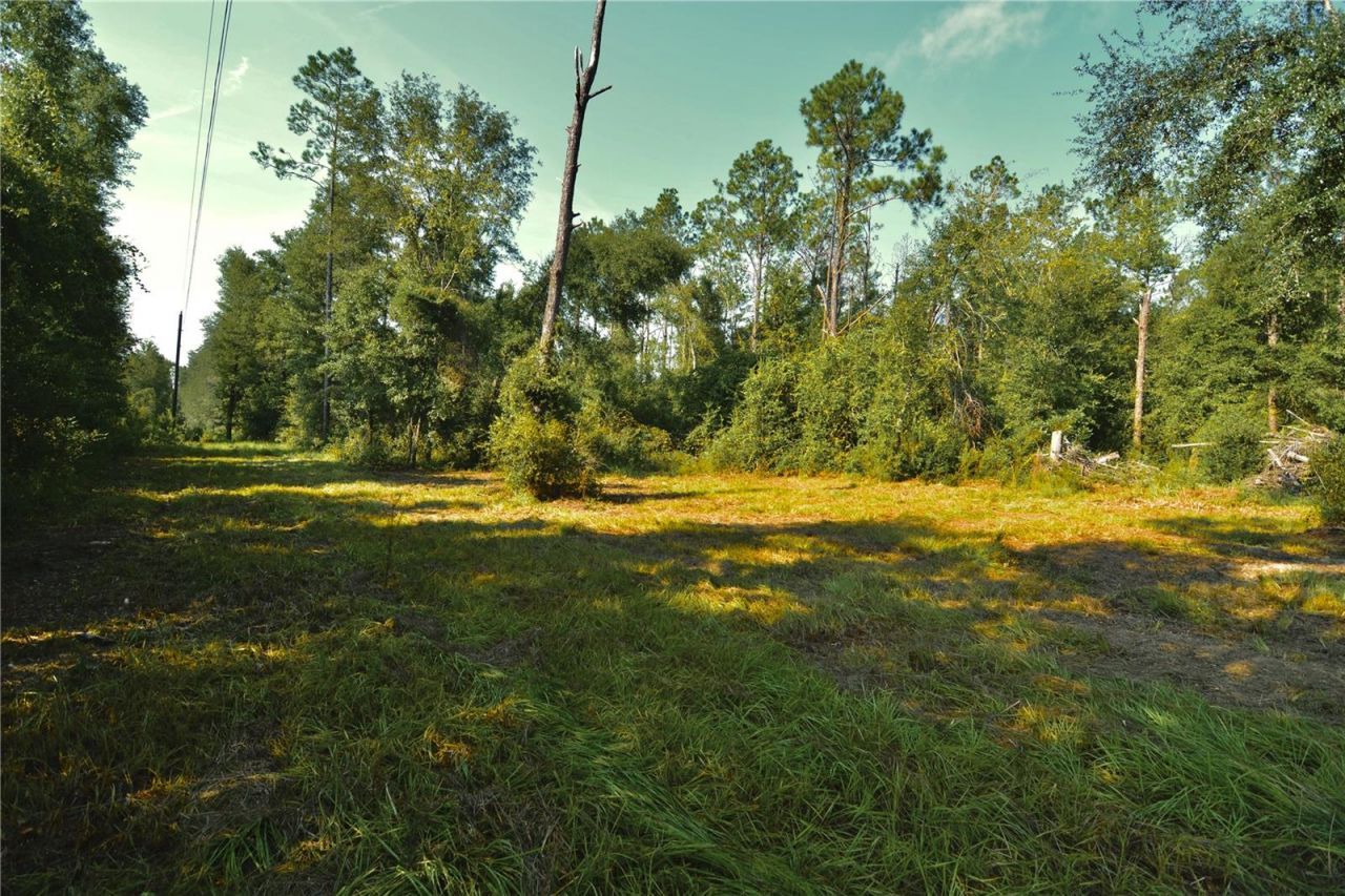 00 SW 39th Ave , Jasper, FL 32052 Photo